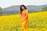 AK Rao PK Rao Movie New Stills